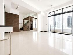 The Scotts Tower (D9), Condominium #555459131